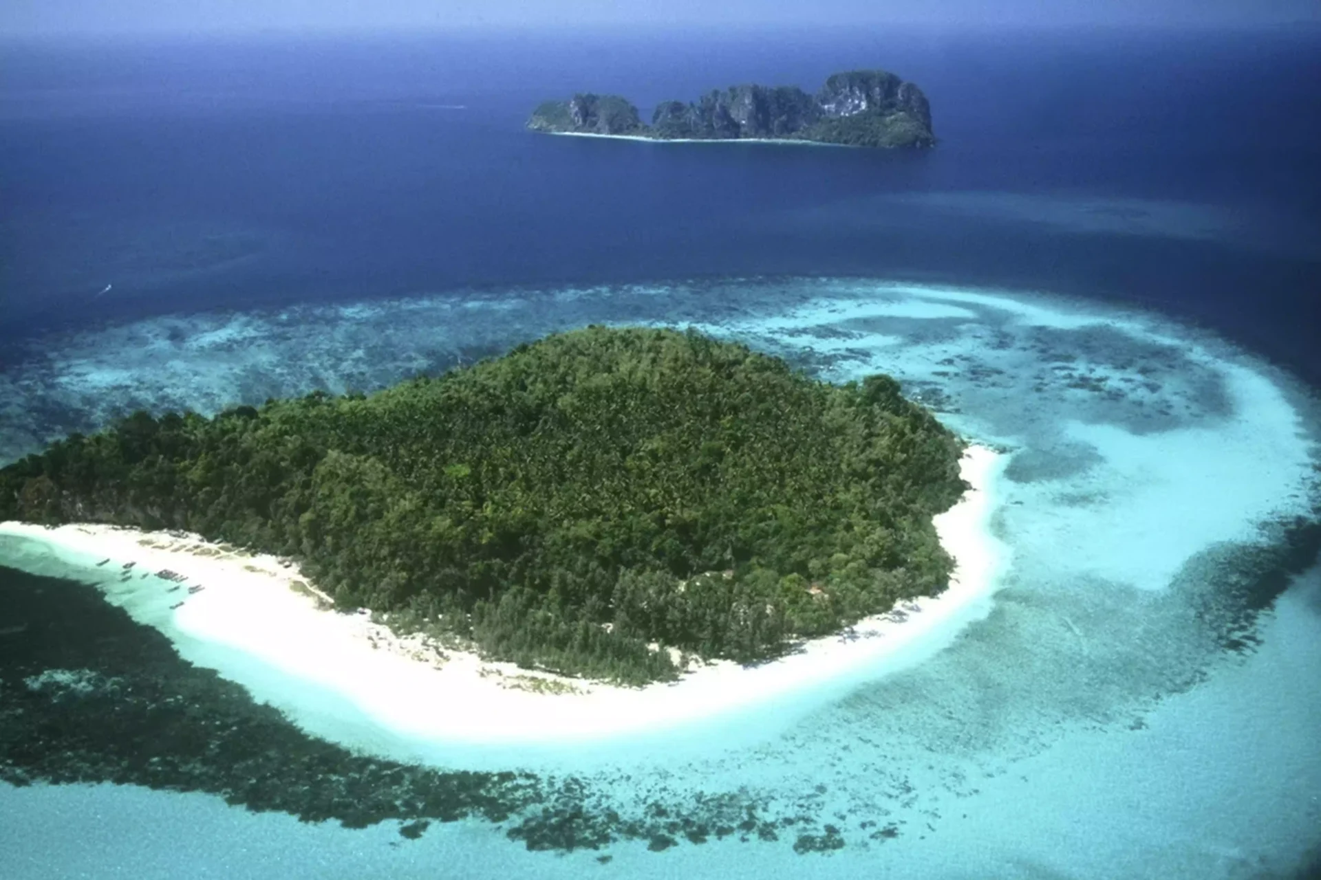 bamboo-island (2)